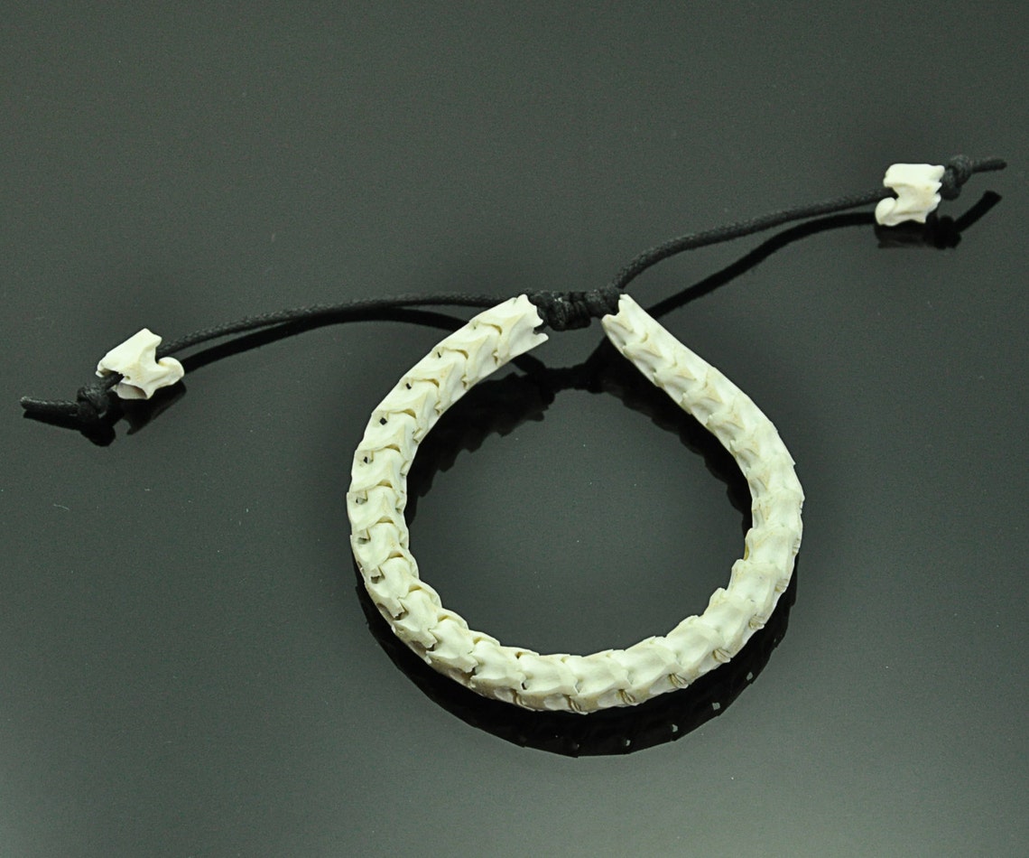 Natural White Real Genuine Snake Spine Bone Skeleton Bracelet Etsy