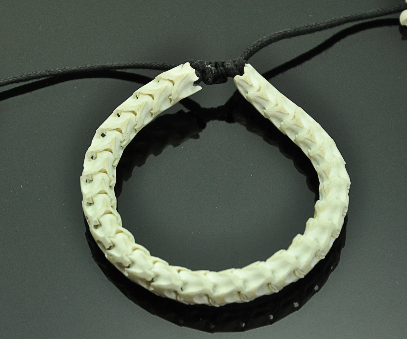 Natural White Real Genuine Snake Spine Bone Skeleton Bracelet Etsy