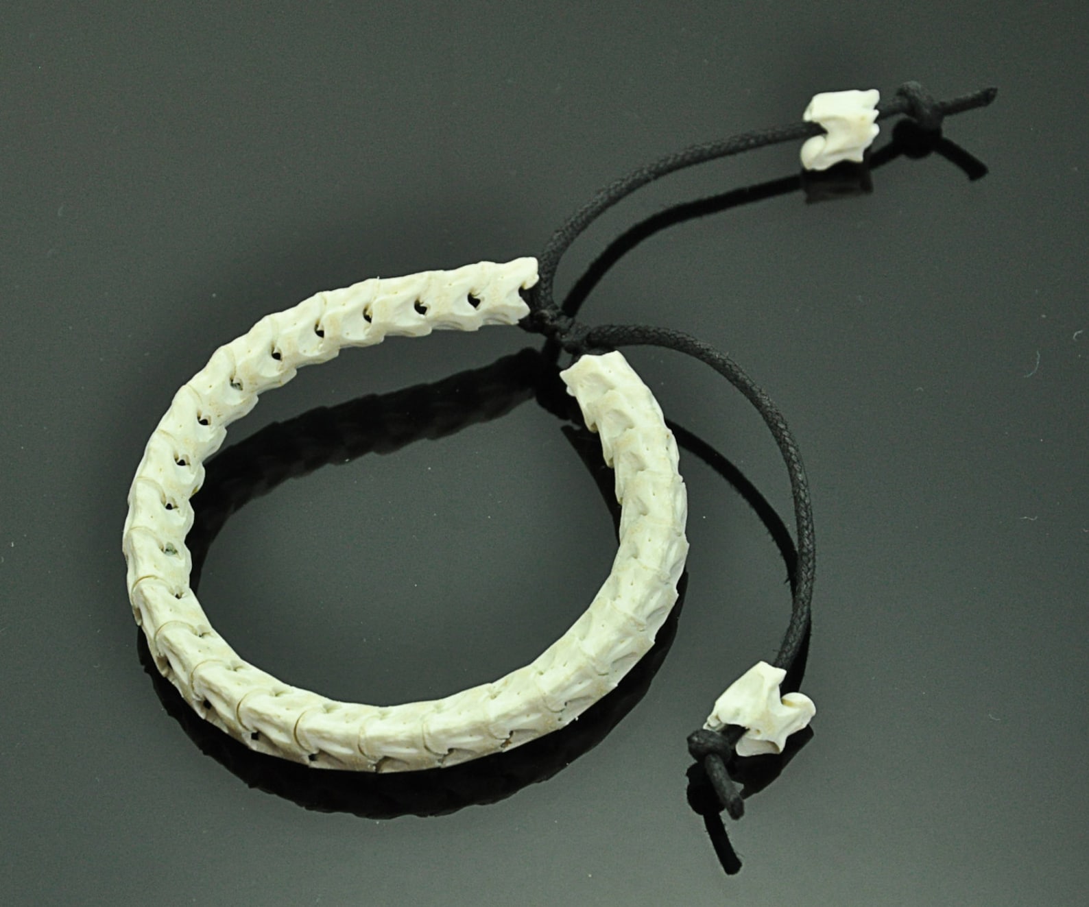 Natural White Real Genuine Snake Spine Bone Skeleton Bracelet Etsy