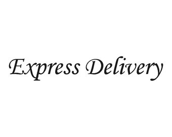 Express Delivery