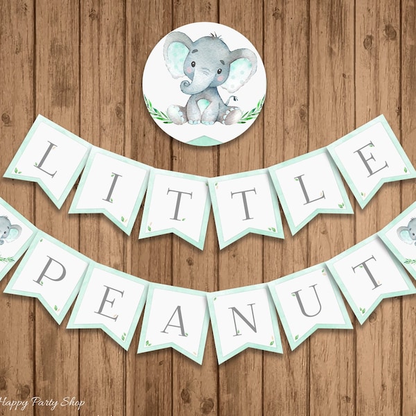 Little Peanut Banner, PRINTABLE, Mint Green Elephant Baby Shower, Gender Neutral, Mint Baby, INSTANT DOWNLOAD, Digital (14 Flags) - BSU046MG