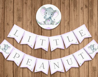 Purple Little Peanut Banner, PRINTABLE, Purple Elephant Baby Shower, 1st Birthday Banner, INSTANT DOWNLOAD, Digital (14 Flags) - BSU046PR