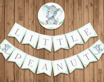 Little Peanut Banner, PRINTABLE, Mint Green Elephant Baby Shower, Gender Neutral, Mint Baby, INSTANT DOWNLOAD, Digital (14 Flags) - BSU046MG