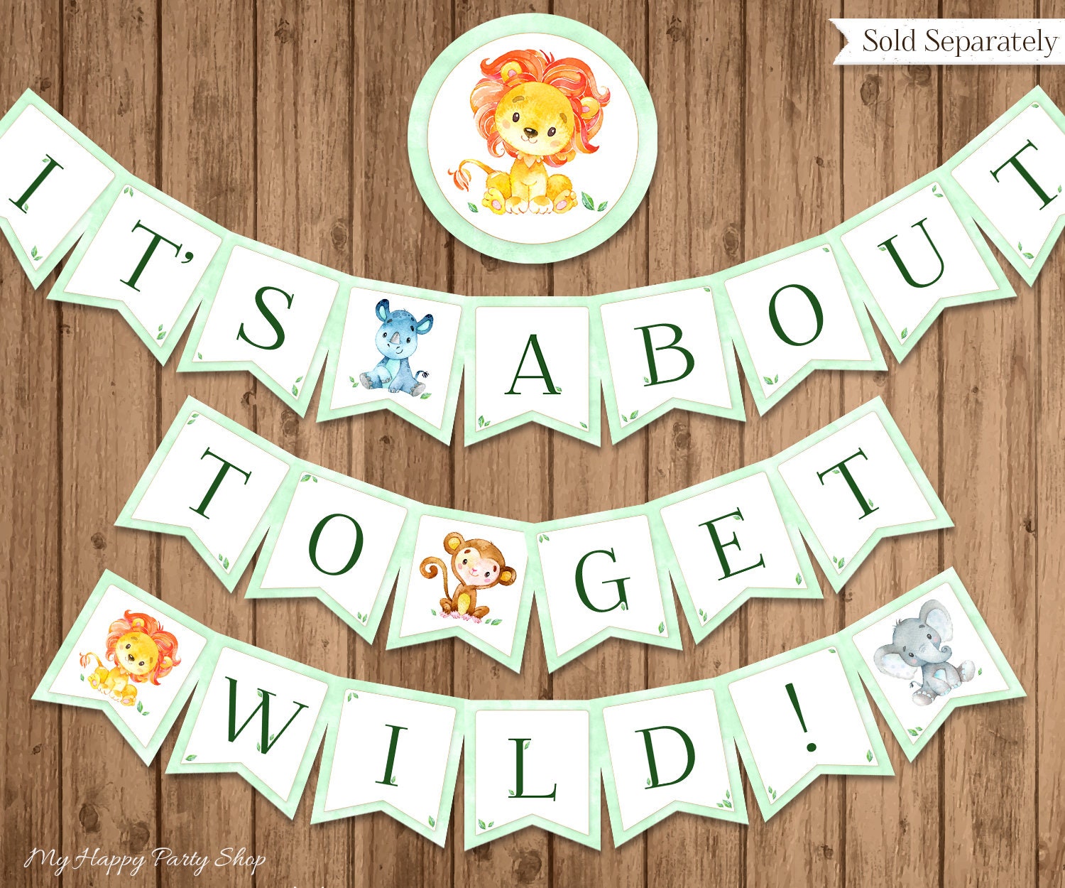 Boho Lion Baby Shower Thank You Tags  Safari Baby Shower Favor Tags - –  Print My Party