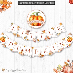 Little Pumpkin Banner, PRINTABLE, Welcome Baby Banner, Fall Baby Shower Welcome Baby Banner, Autumn, INSTANT DOWNLOAD, Digital File - BSU079