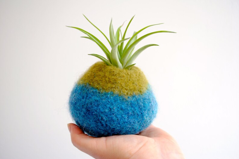 Tillandsia Felt Plant Pods Felted Plant Pot Air Plant Holder Etsy