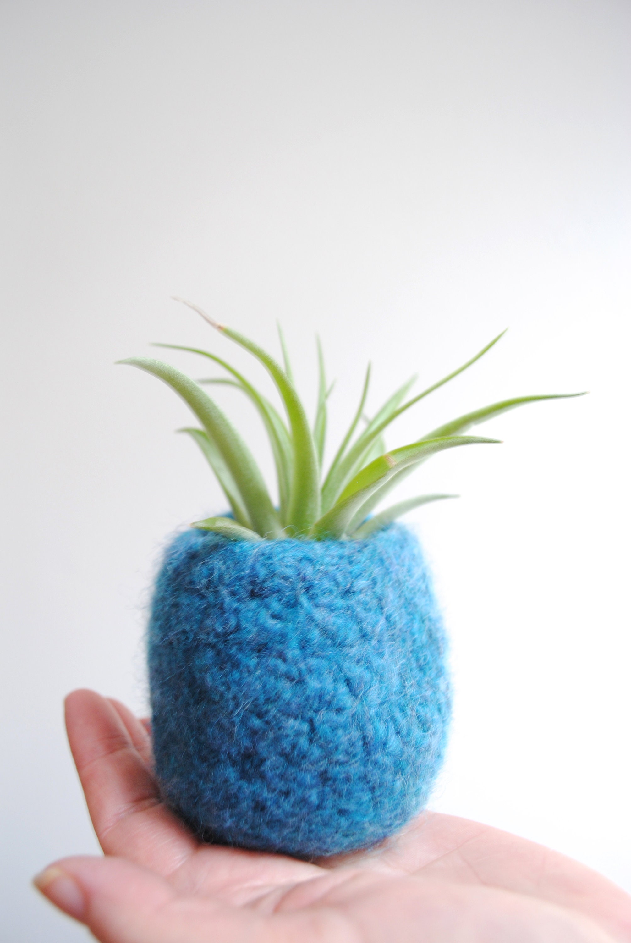 Felted Flower Pot Indoor Tillandsia Air Plant Planter Cactus Etsy