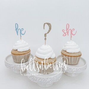 He or She Cupcake Toppers / Gender Reveal Cupcake Topper / Pink or Blue / Gender Party / Boy or Girl Decorations / Gender Surprise