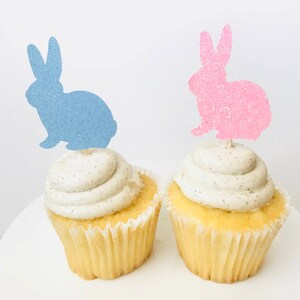 Spring Gender Reveal cupcake toppers/ Little Bunny cupcake toppers/ Spring baby shower/ Spring gender reveal