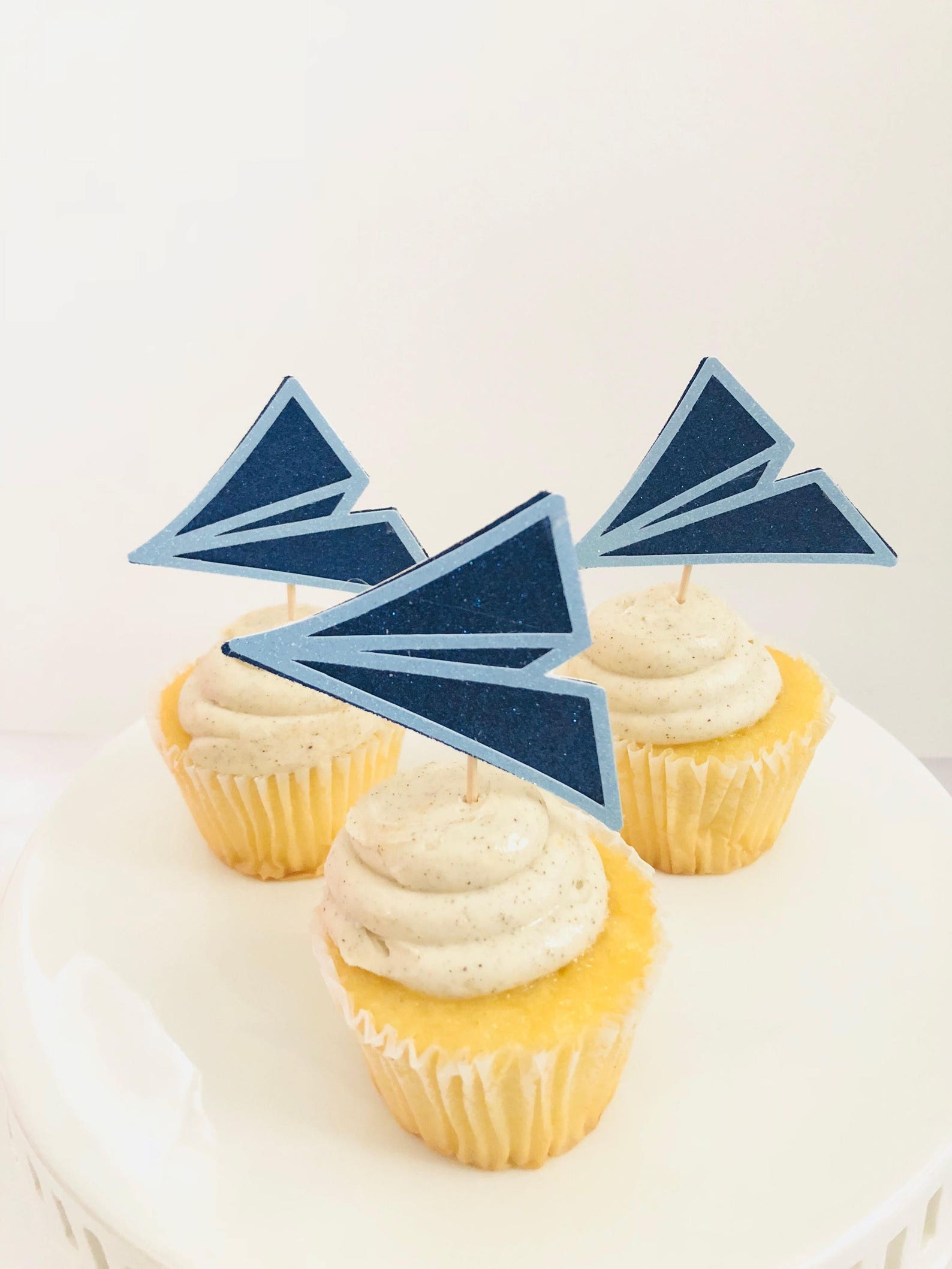 Paper Airplane Cupcake Toppers/ Time Flies Birthday/ Airplane Etsy