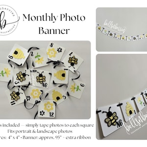 Fun to Bee One Birthday Decorations – Party Bundle or Individual Items 1stYear Photo Banner