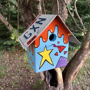 Ohio license plate roof on a whimsical birdhouse wren chickadee nuthatch cartoon cake decorated design all hand painted garden decor baker