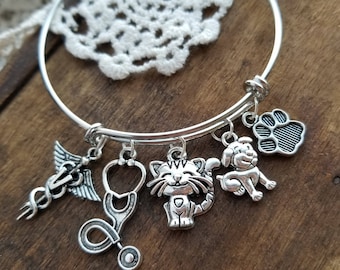 Dierenarts tech-sieraden, cadeau voor dierenarts tech, dierenarts tech bedelarmband, dierenarts sieraden, afstudeercadeau voor dierenarts, afstudeer dierenarts tech