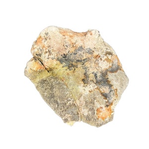 Dino Eggshell Saltosaurus Dinosaur  Late Cretaceus Argentina