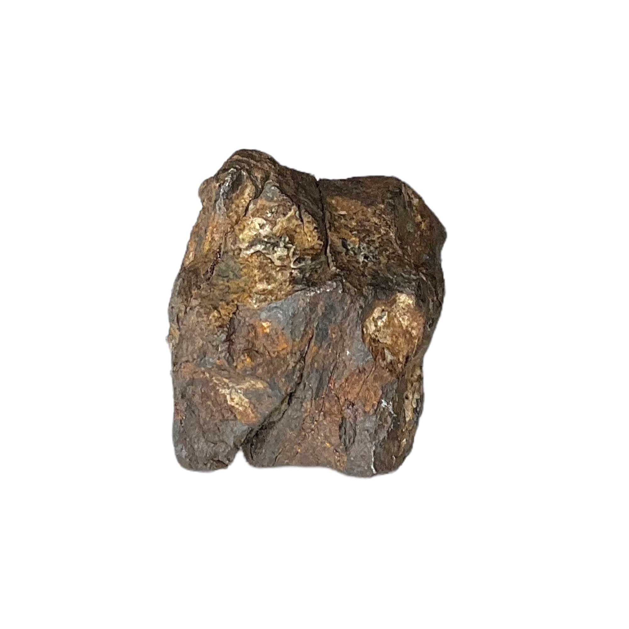 オデッサ隕石（約64g） オデッサ隕石 テキサス州 - Etsy 日本