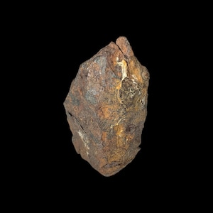 May include: A close-up of a dark brown, irregularly shaped rock with a rough, textured surface. The rock has a mottled appearance with patches of lighter brown and orange.