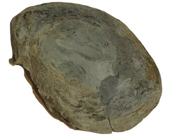 il_340x270.3533427329_evfq.jpg