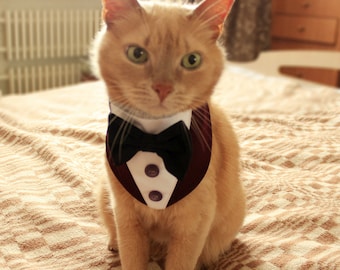 Tuxedo cat best sale harness