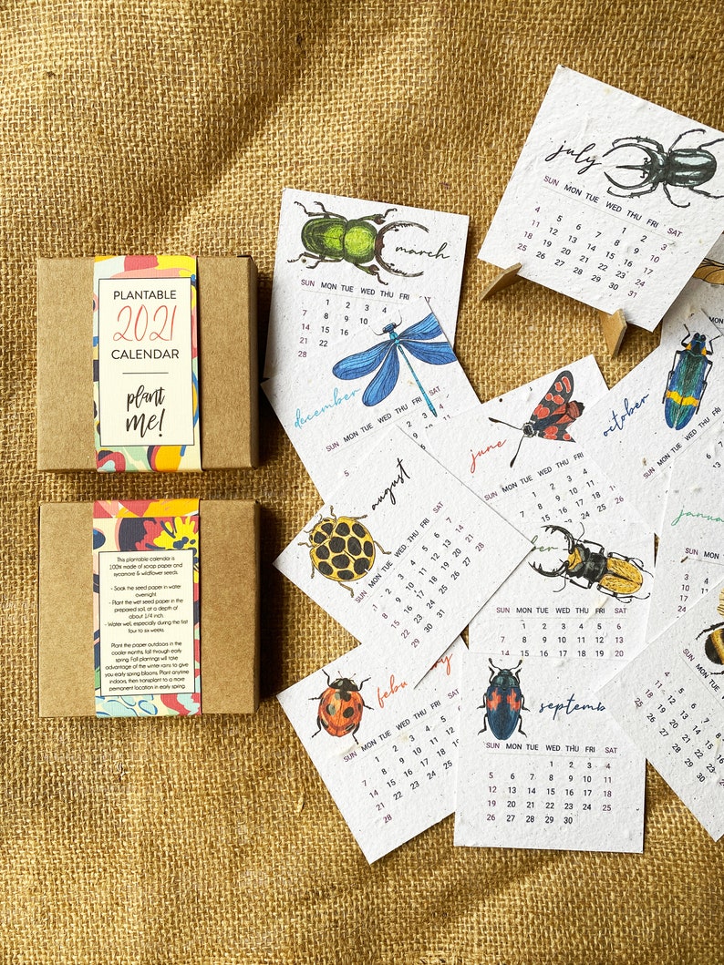 Seed Paper Plantable Calendar 2023 Insects White Etsy