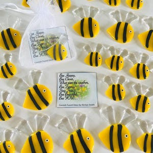 Fused Glass Bienencharme - Cornish Fused Glass, Fused Glass Cornwall