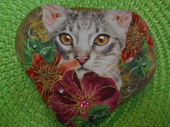 white and tan kitten