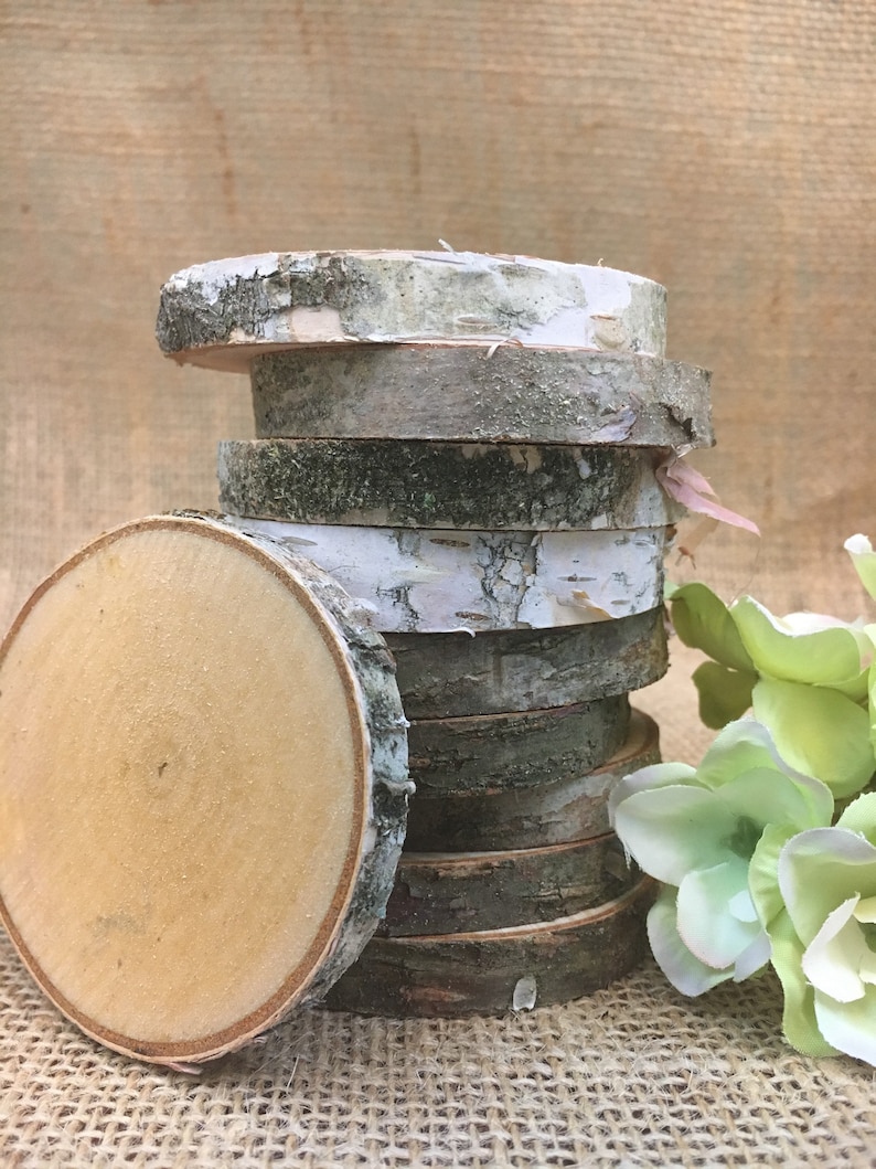 3 5 4 10 Birch Tree Discs Birch Tree Slices Wood Etsy