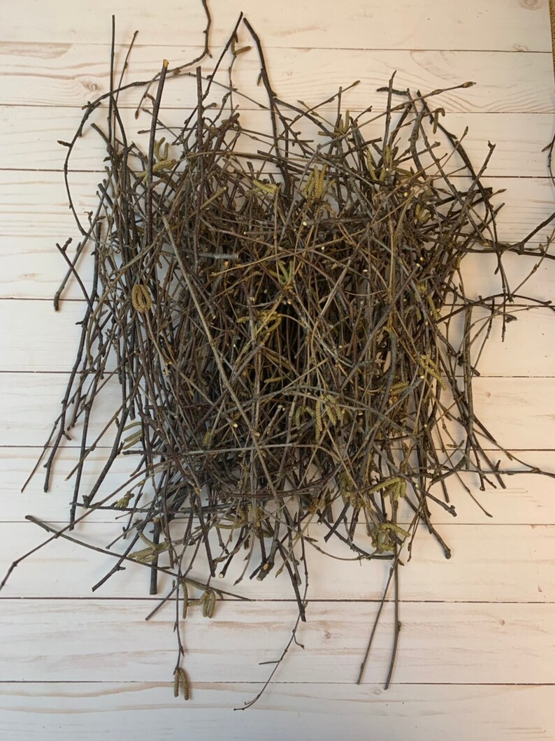 Real White Birch Tree Twigs Natural Twigs Twigs For Etsy