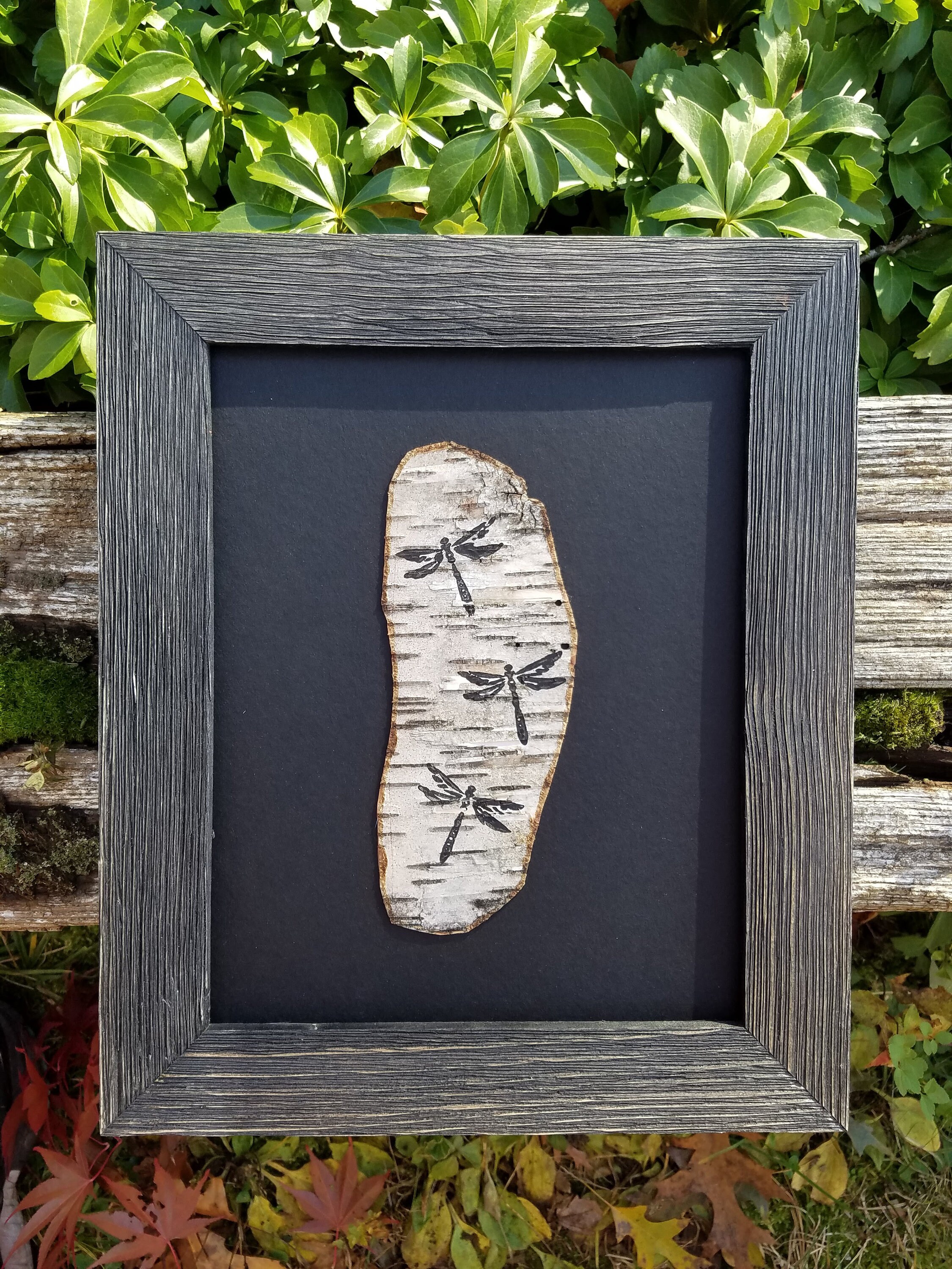 Dragonfly Painting On Real Birch Tree Bark Inside A Rustic Etsy