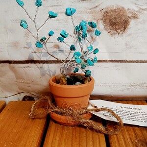 May include: A turquoise gemstone tree in a terracotta pot with a small sign that reads "TURQUOISE Turquoise has a rich history of being associated with protection, healing, prosperity, and good fortune. It is known to bring balance, enhance creativity, and spiritual growth."