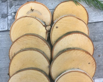 4"/10 Wood slices/Rustic wedding/Birch tree discs/ birch tree slices/wooden discs/unpainted birch slice/birch wedding/birch craft