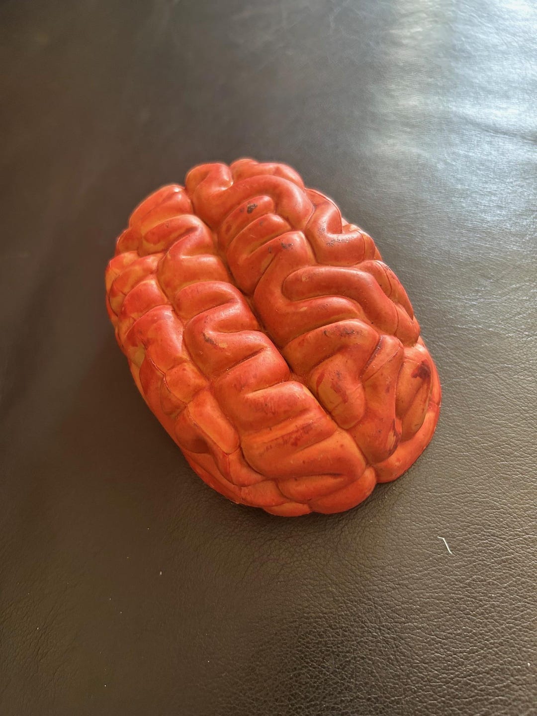 Small Brain Prop 5x3.5x2 - Etsy