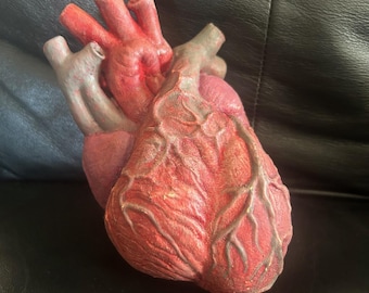 Sculpture coeur en résine réaliste.