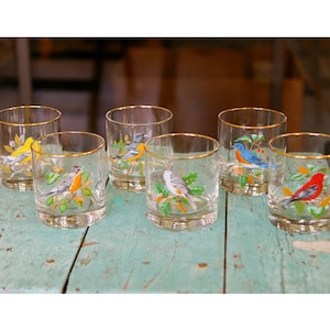 Vintage Songbird Drinking Glasses West Virginia Glass Co barware gold trim - Set of 6 Bird Tumblers
