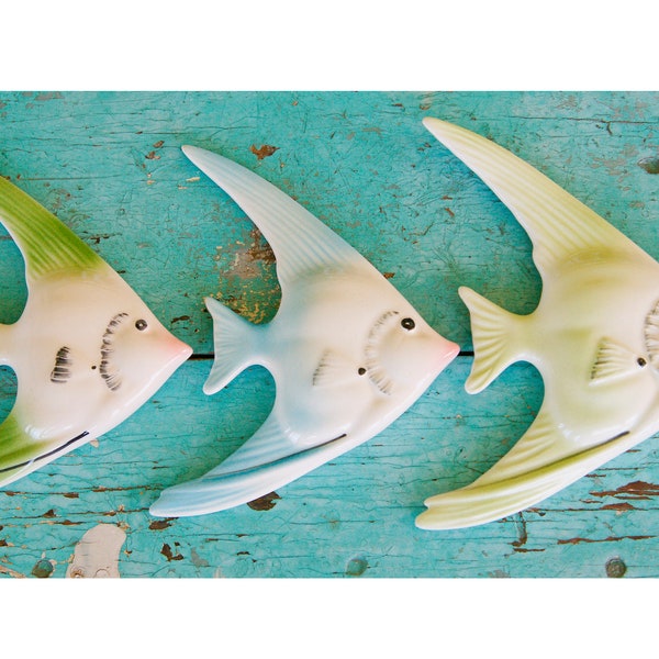 Ceramic Fish Wall Art Etsy