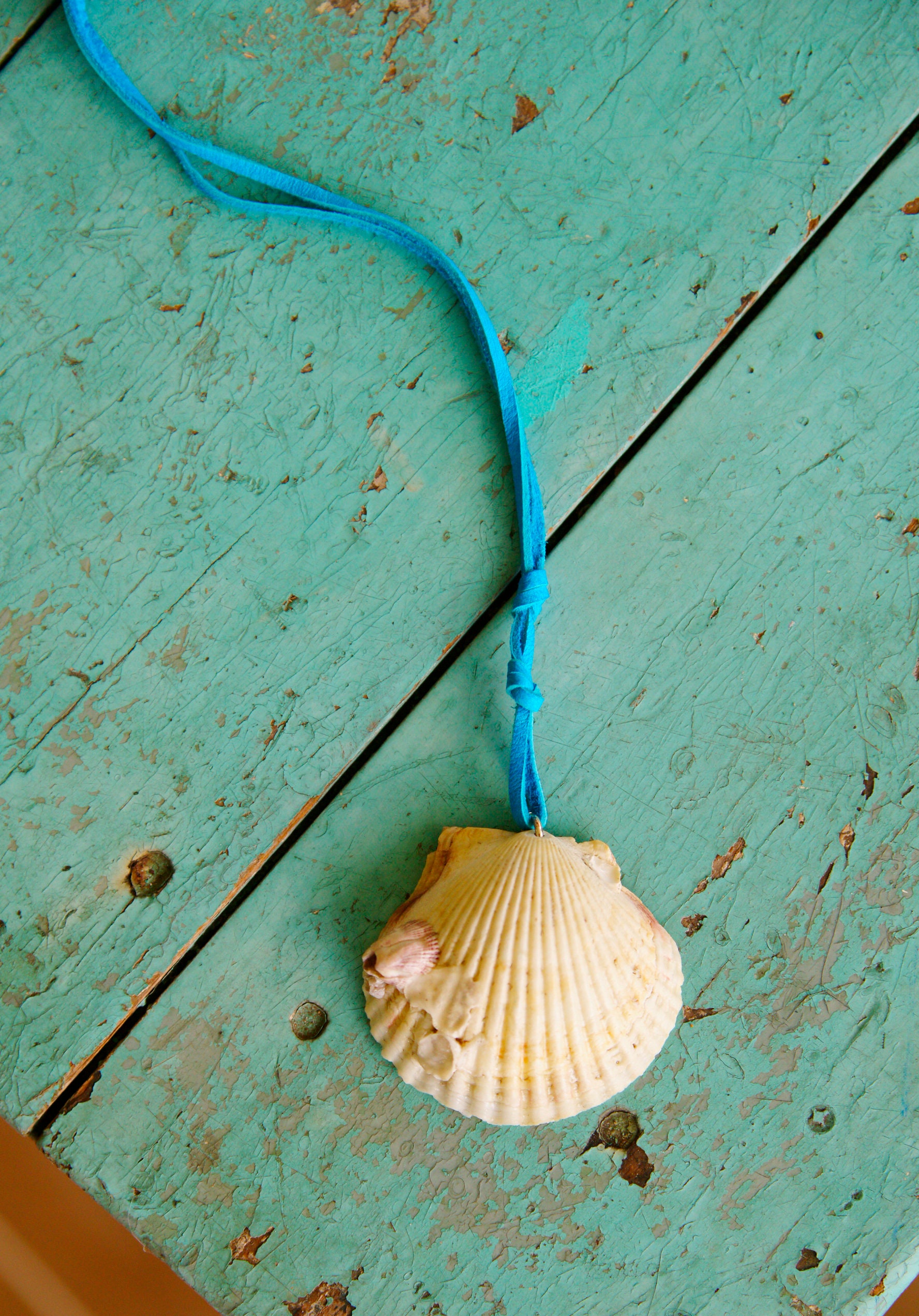 Pineapple Anna Maria Island Scallop Shell Necklace Seashell Etsy UK