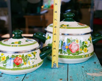 Vintage Fissler Asta Enamelware Stockpots: Floral German Cookware