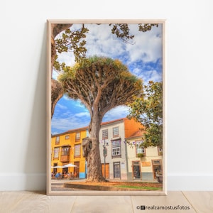Foto Kanarische Architektur Teneriffa Spanien, Stadtfoto Plaza de la Concepción in San Cristobal de La Laguna Teneriffa, Fotoreise nach Teneriffa
