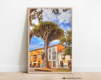 Foto Arquitectura Canaria Tenerife España, Foto urbana Plaza de la Concepción en San Cristobal de La Laguna Tenerife, foto viaje a Tenerife