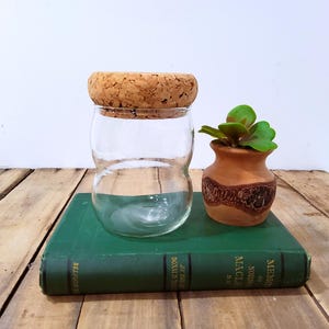 May include: A clear glass jar with a cork lid, a small terracotta pot with a plant, and a green book are arranged on a wooden surface. The jar has a rounded shape. The pot has a decorative pattern.