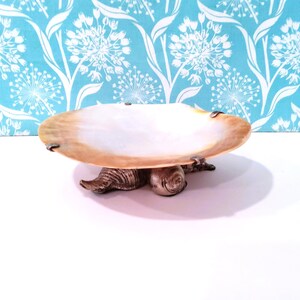 Peut inclure: Un plat de service décoratif avec un dessus ovale en forme de coquillage blanc et beige. Le plat est soutenu par une base argentée avec un motif de coquillage. Le fond présente un motif floral bleu.