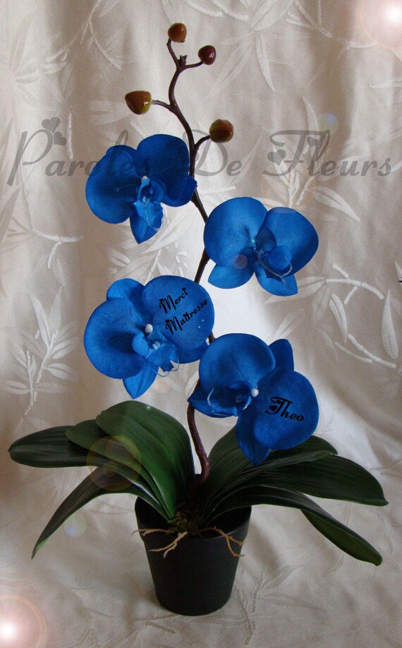 Composition Pot D Orchidees Bleu Roi Artificielles A Etsy Composition Pot D Orchidees Bleu Roi Artificielles A Etsy