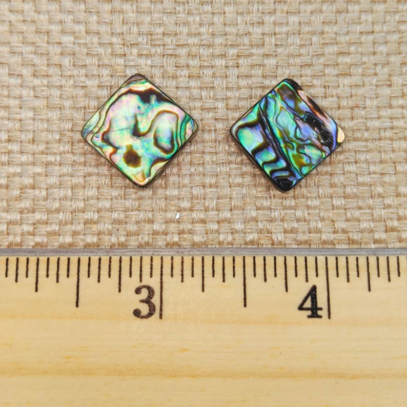 Large Diamond abalone Centers