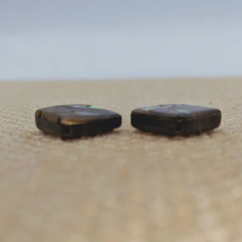 Large Diamond abalone Centers