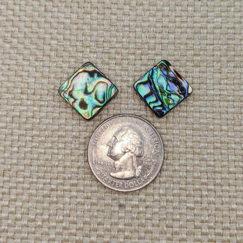 Large Diamond abalone Centers