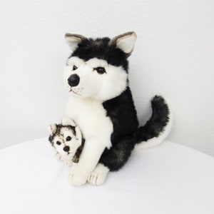 zuma teddy paw patrol