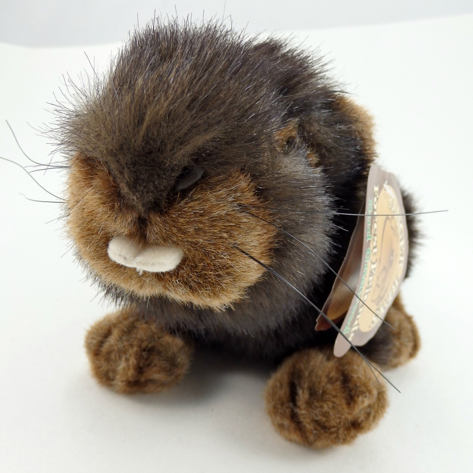 Vintage 2000 Talking Beaver Plush Toy Ranger Rex's Forest Etsy