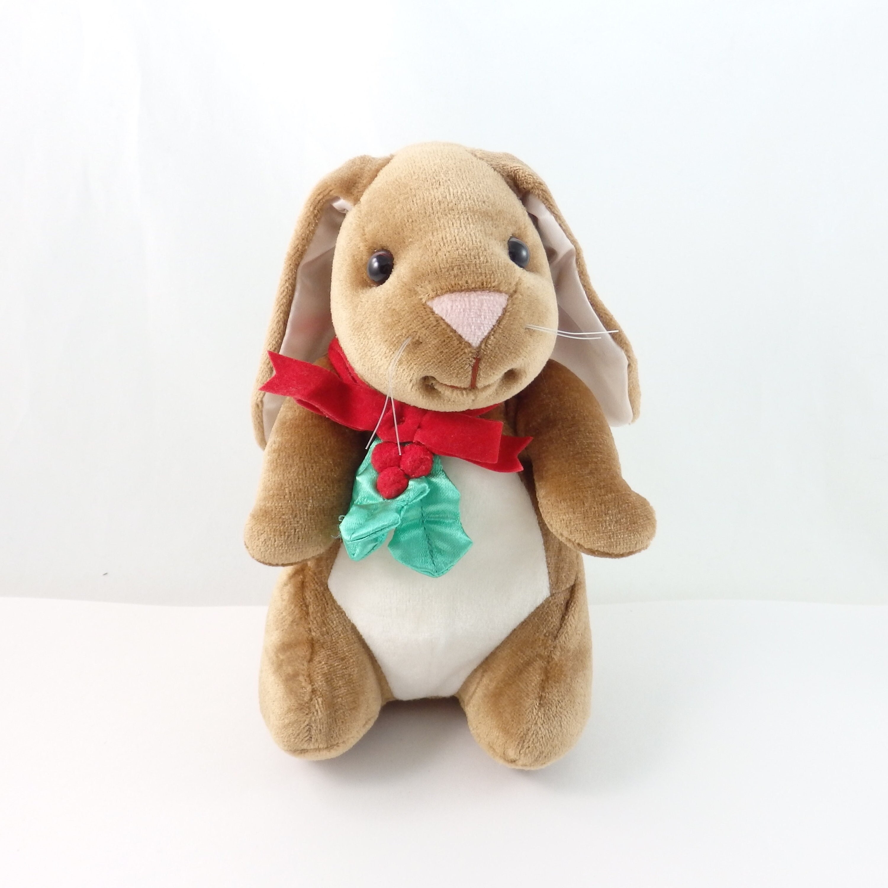 Bonnie) Chocolate Dutch bunny / ruby brown eyes : r/Rabbits