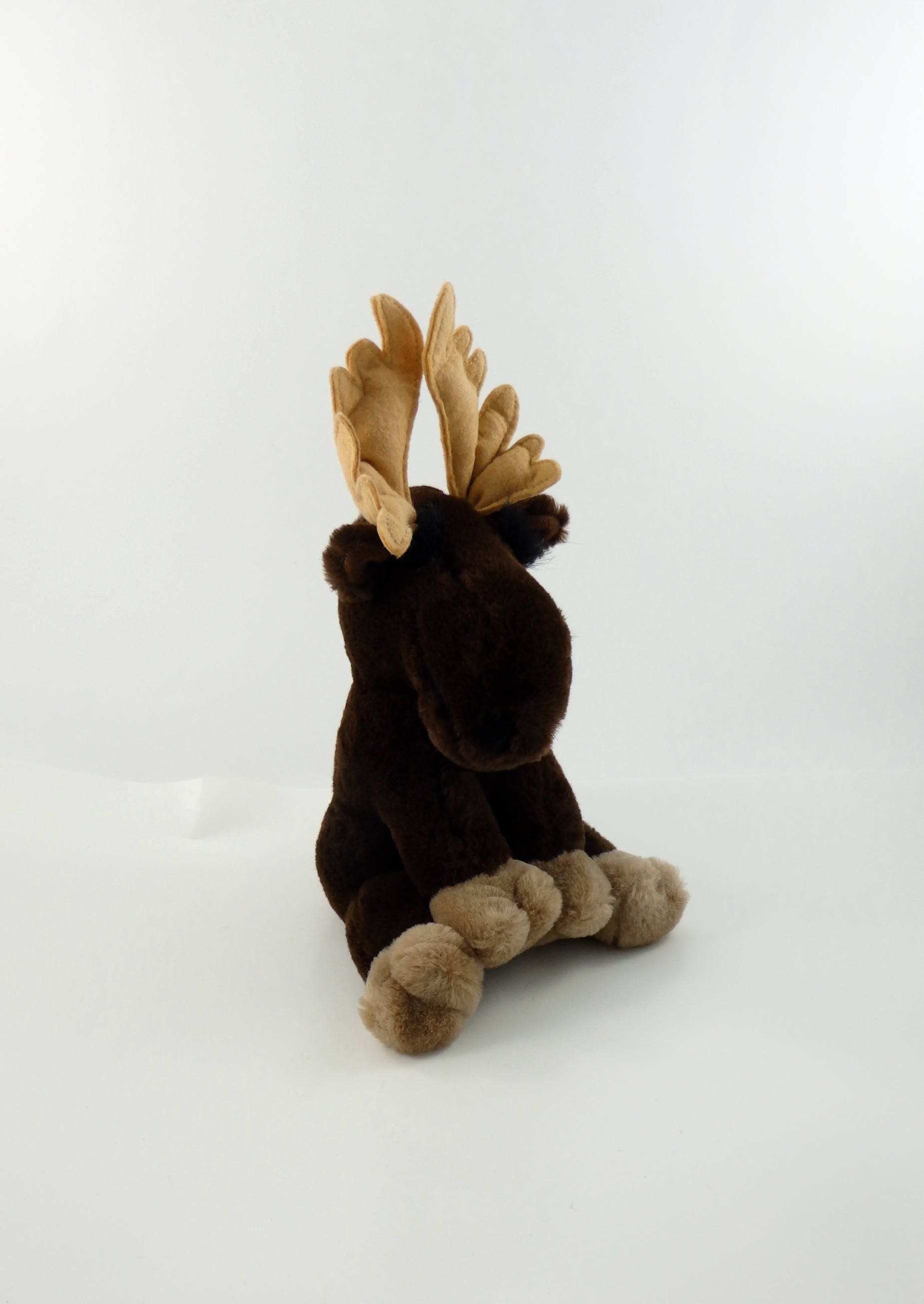 chocolate moose teddy