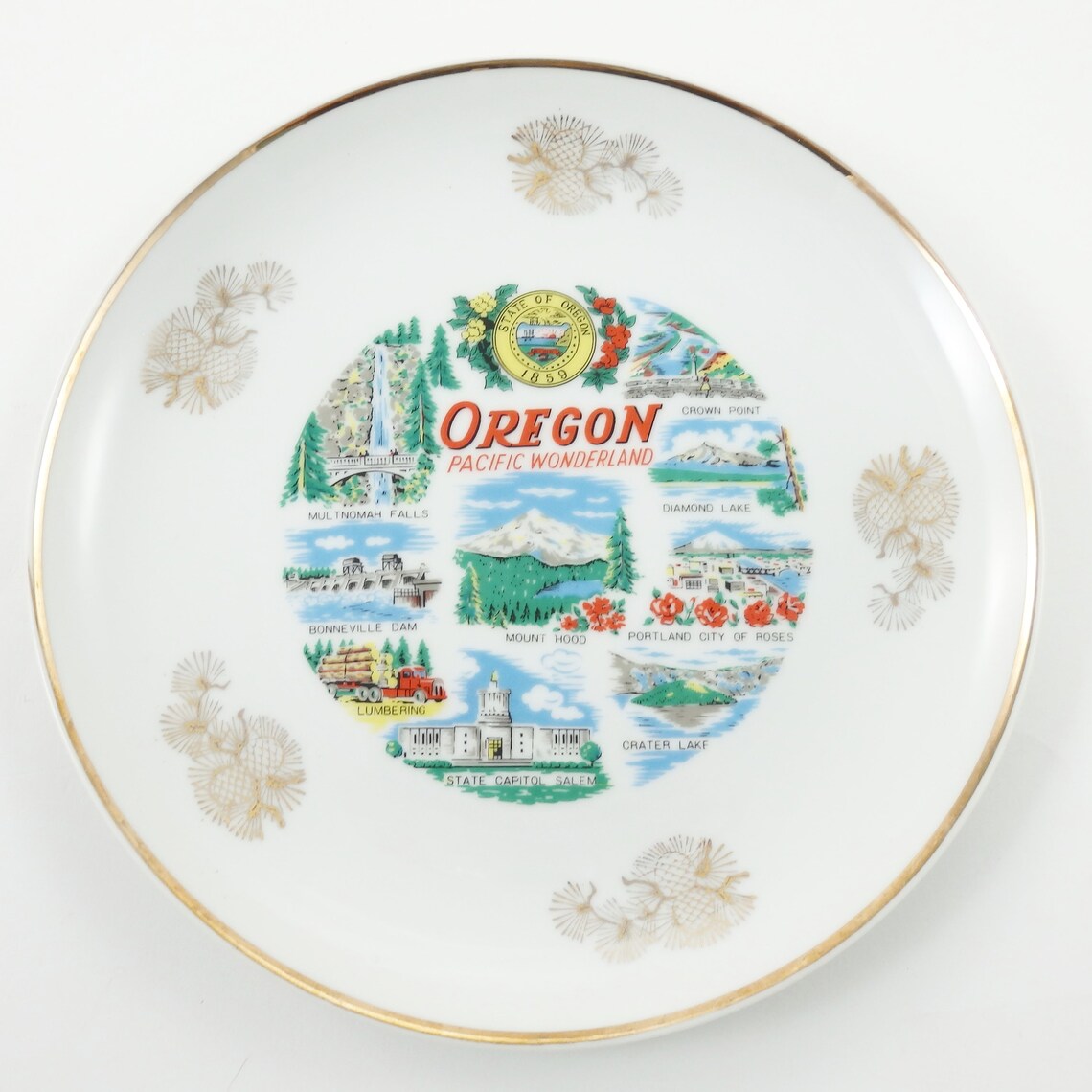 Vintage Oregon Plate Pacific Wonderland Home State Plate Etsy