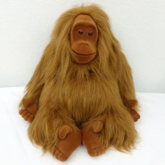 iceland orangutan teddy